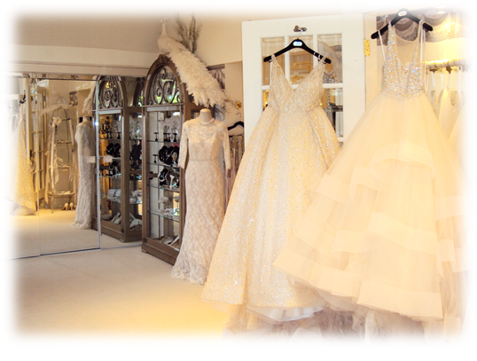 Elizabeth's Bridal Manor display with wedding dress - - Photo by Detroit Wedding Day