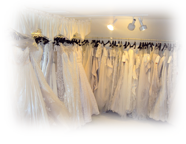 Elizabeth's Bridal Manor wedding gowns - - Photo by Detroit Wedding Day