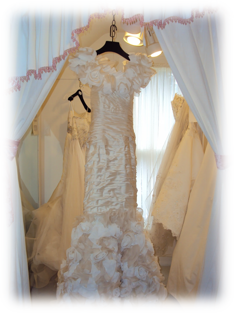 Elizabeth's Bridal Manor wedding dress2 - - Photo by Detroit Wedding Day
