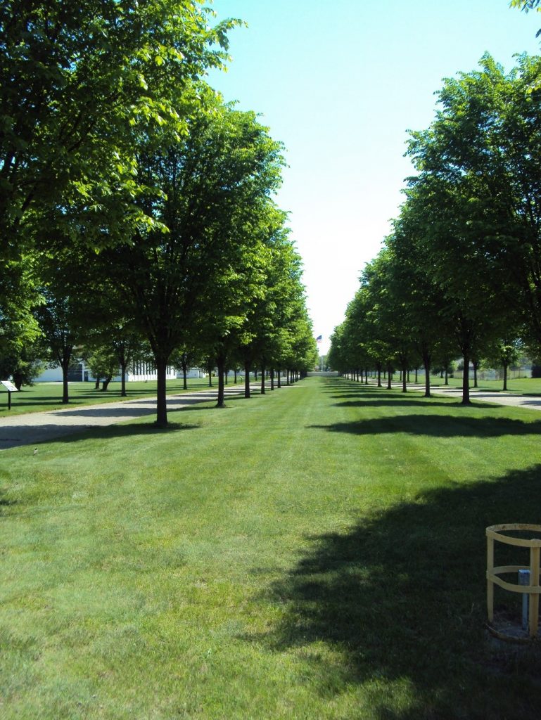 tree lined boulevard – lovely spot for an outdoor ceremony 